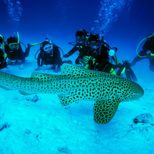 Sea walk in Andaman